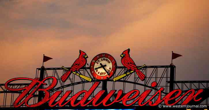 Budweiser's New Can Design Makes Customers Distance Themselves Further from Brand
