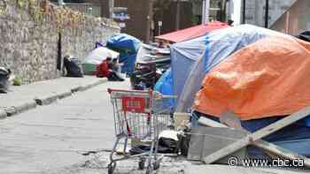 Councillors back plan to allow some encampments in Hamilton