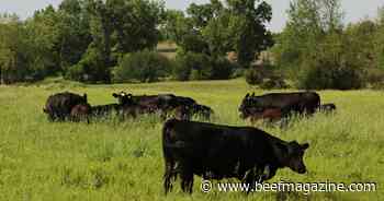 Anthrax cases rise in North Dakota