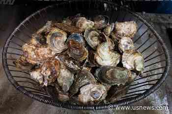 Two Connecticut Deaths Linked to Bacteria Found in Raw Shellfish