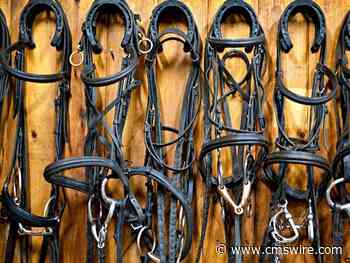 Harnessing AI: Top Use Cases for Digital Commerce