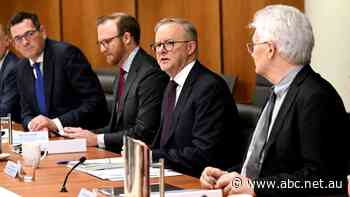 Live moment: Anthony Albanese speaking following national cabinet meeting