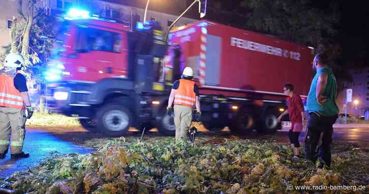 Orkan in Brandenburg: Dächer abgedeckt, Bäume auf Straßen