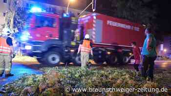 Orkan in Brandenburg: Dächer abgedeckt, Bäume auf Straßen