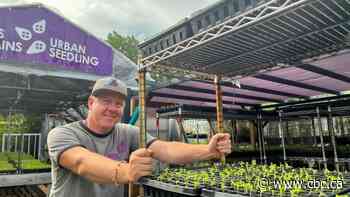 Scorching temperatures put workers at risk — and bring calls for measures to cool down worksites