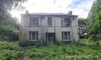 ‘I found a millionaire's creepy collection hidden inside an abandoned mansion'