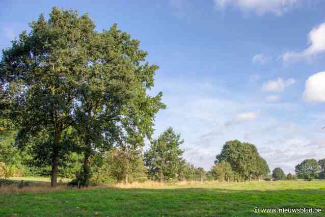 Gemeente krijgt 50.000 euro van VLM voor aanplanting nieuwe houtkanten