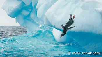 What is the Guake top-down terminal in Linux? Everything to help you get started