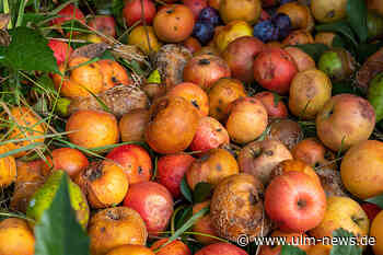 Wohin mit dem Fallobst?
