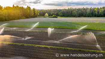 Nestlé und Co. arbeiten an der Landwirtschaft der Zukunft