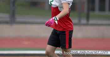 Football previews 2023: Scouting the West Suburban Conference