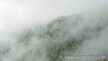Sauberes Wasser aus Nebel