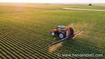 K+S, Nutrien, Yara: Deshalb sind Düngemittel-Aktien für mutige Anleger interessant