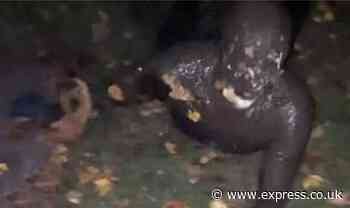 Man accused of being Somerset Gimp banned from 'wriggling or writhing on ground'