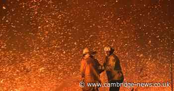 Cambs woman who raised £34k for  Australian bushfire victims actually spent the cash on clothes and beauty