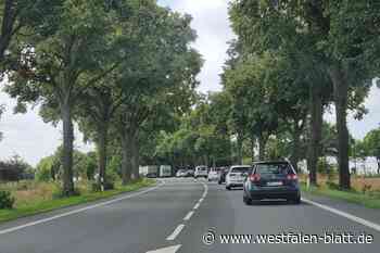 Erneuter Baumprotest auf der OWL-Straße bei Alfredshöhe geplant
