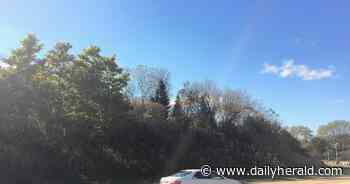 'An ecological threat': Why some South Barrington residents oppose plan for new church, school