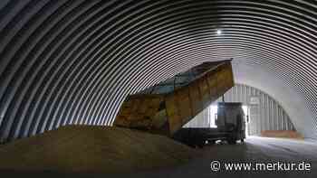 Nach Putin-Rückzug aus Getreidedeal: USA arbeitet mit Türkei und Ukraine an Alternativroute über Donau