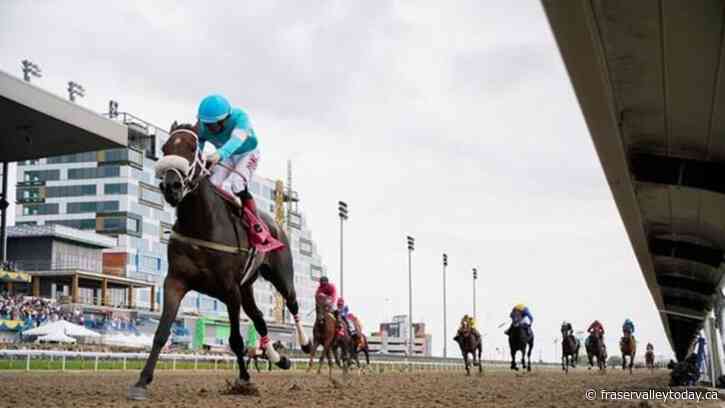 Elysian Field, Paramount Prince in 17-horse King’s Plate field