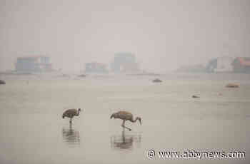 Wildfires still menacing large areas of N.W.T., creep close to Yellowknife