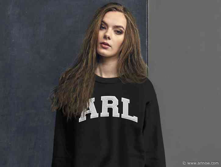 Introducing the new ARLnow merch shop