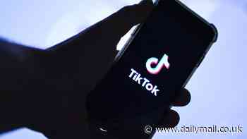 New York City BANS TikTok: Employees must delete Chinese app from all city-owned devices in 30 days due to fears it poses 'a security threat'