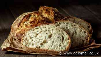 Scientists discover exactly what makes the perfect home-made sourdough