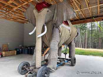 Kootenay man creates giant puppet to commemorate famous elephant