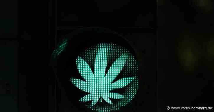 Umfrage: Jeder Zweite eher für Freigabe von Cannabis