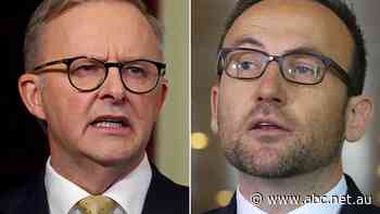 Future of Labor's key housing policy uncertain after Greens frustrated with rent measures