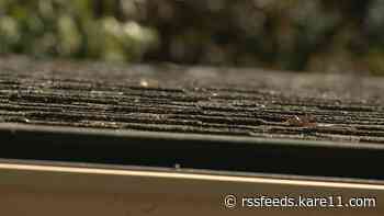 Experts say scammers have been active since hail storm