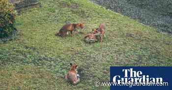Commuter chaos and a royal couple – readers’ best photos