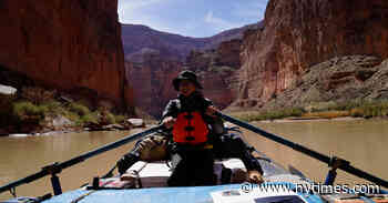 Following the Science, Above the Ground and Below