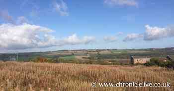 Duke of Northumberland's property company launches appeal after councillors 'disregarded' planning advice