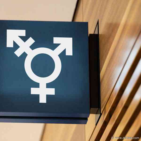Architecture groups "alarmed" by UK government ban of gender-neutral toilets