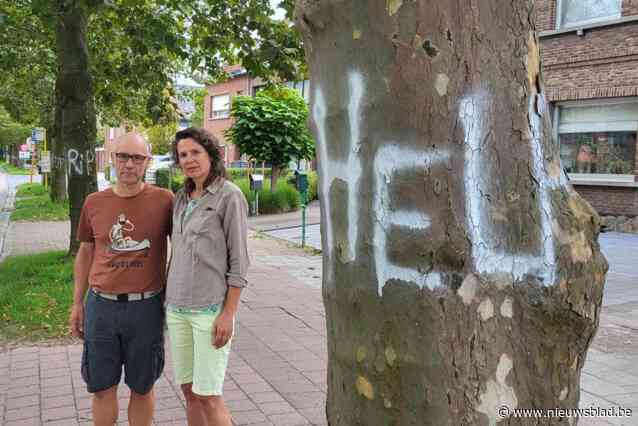 “Help, RIP,...”: opnieuw noodkreten op bomen tussen A12 en centrum van Niel