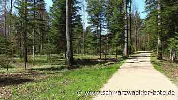 Begraben unter Bäumen: Ruhewald: Zavelstein baut Bestattungstrend aus