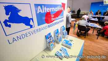 Das sind die prägenden Köpfe der AfD in Niedersachsen