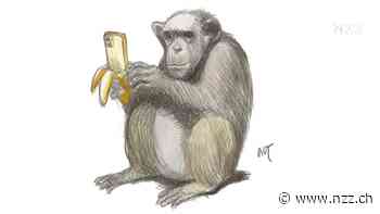 KOMMENTAR - Musterschülerin auf Abwegen: Bei der Infrastruktur wird die Schweiz zur «Banana-Republik»