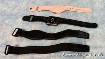 Apple Watch and Fitbit wristbands are 'hotbeds' for harmful bacteria, study reveals