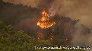 Waldbrand auf Teneriffa außer Kontrolle: Es regnet Asche