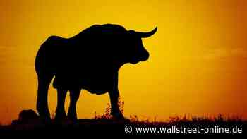 Europa-Liste: BofA: Diese Top-Aktien hat fast niemand auf dem Radar