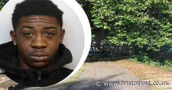 Castle Park murderer who 'lost his temper' and reached for machete jailed for life