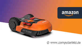 Unter 600 Euro: Beliebter Worx-Mähroboter für Gärten bis 700 m²