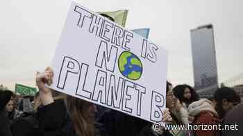 Pilot Radar: Warum Marken aktuell wieder an Bedeutung gewinnen