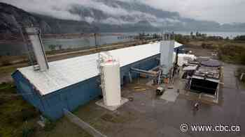 Canadian firm Carbon Engineering being bought by Occidental for $1.1B US