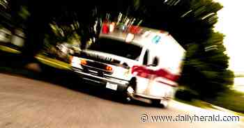 Lake Barrington woman dies after car drives into yard, hits trees