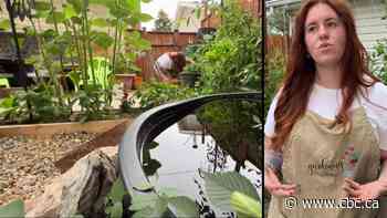 Helpful hints to tend to your garden during a heat wave and drought