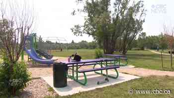 Why Regina council voted not allow alcohol consumption in city parks