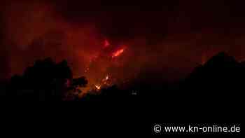 Waldbrände auf Teneriffa: Unkontrolliertes Feuer wütet auf Kanaren